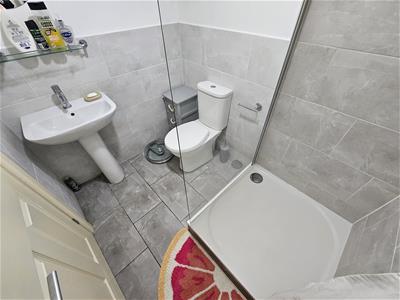 Picture 23